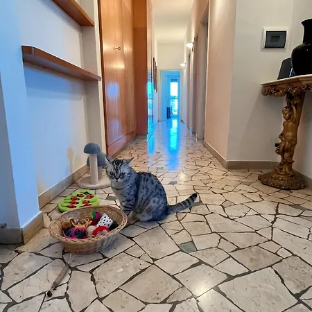 Stanza Singola In Condiviso Homestay Florence